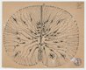 Santiago Ramón y Cajal, "glial cells of the mouse spinal cord," 1899