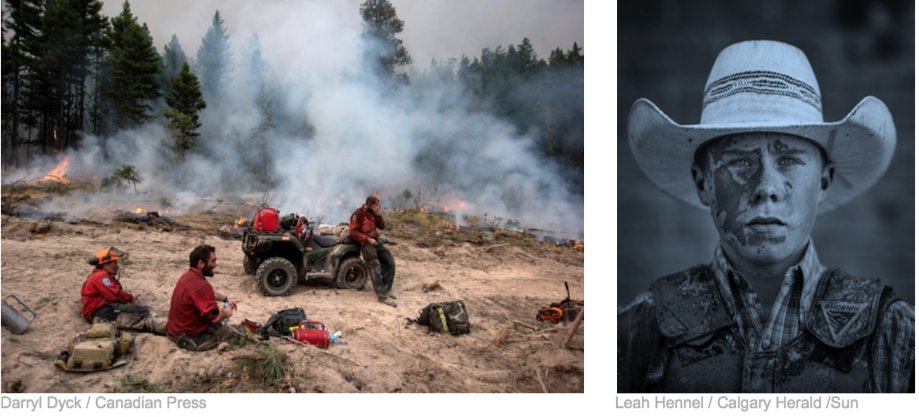 Darryl Dyck and Leah Hennel, "News Photographers Association of Canada Pictures of the Year," 2018