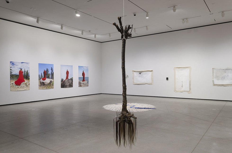 "Li Salay," 2018, installation view at the Art Gallery of Alberta (photo by Charles Cousins)