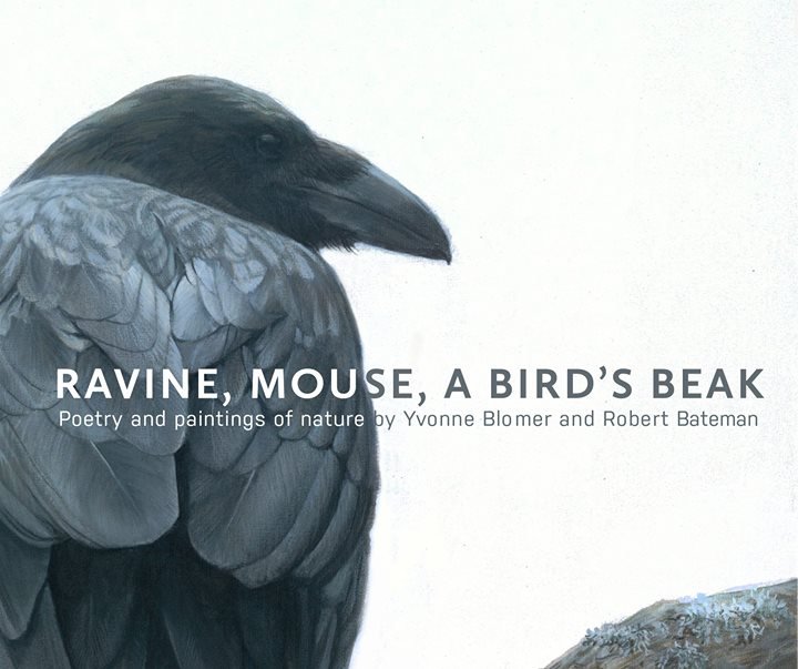 Ravine, Mouse, A Bird's Beak.jpg