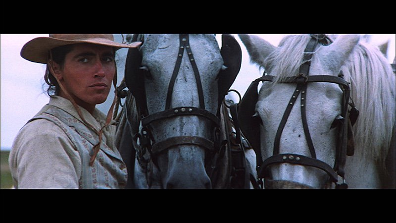 Sarain Stump as Napolean Royal in the film "Alien Thunder," (1973), director Claude Fournier.