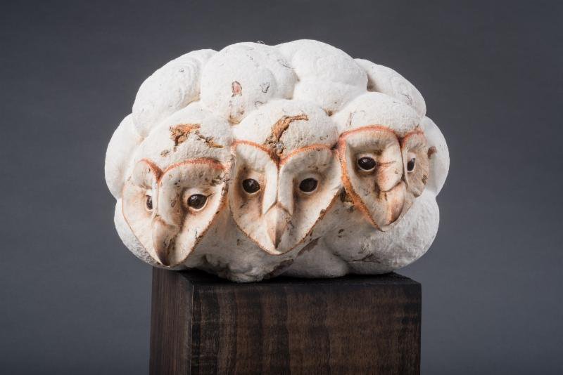 Lynn Branson, "Haven," sculpture of young barn owls carved from a maple burl