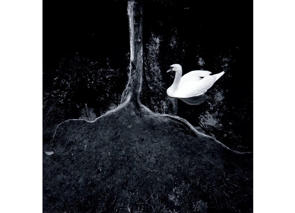 Arthur Nishimura, “Mythical Landscapes: La Rochelle,” 1983