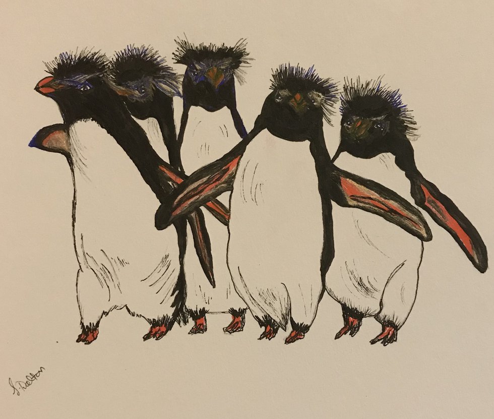 Sandra Dalton, "Penguins Gone Wild"