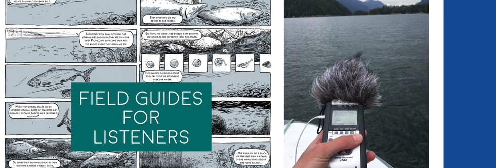 Jay White and Jenni Schine, "Field Guides For Listeners," 2019