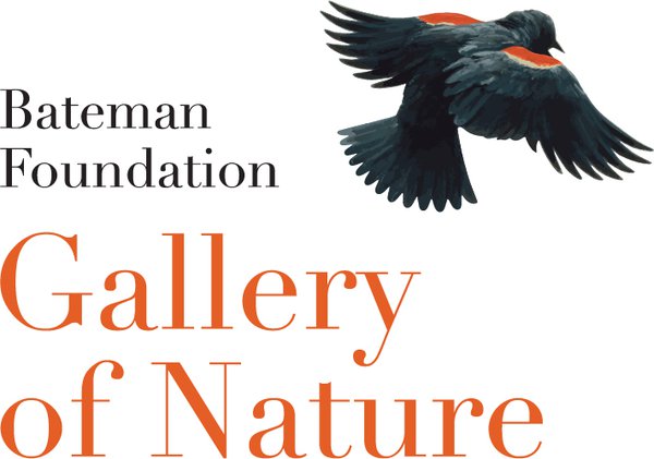 Bateman-Gallery-Nature-RGB-Vert.jpg