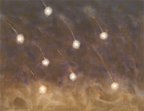 Gathie Falk, "Heavenly Bodies: Falling Stars 2," 2005, acrylic on canvas, 44" x 57".
