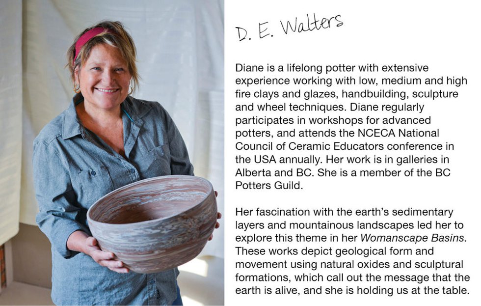 Diane-Walters-write-up-1024x652.jpg