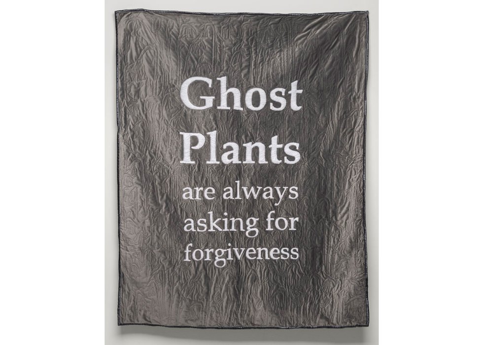 Alyssa Ellis, “Ghost Plants,” 2018