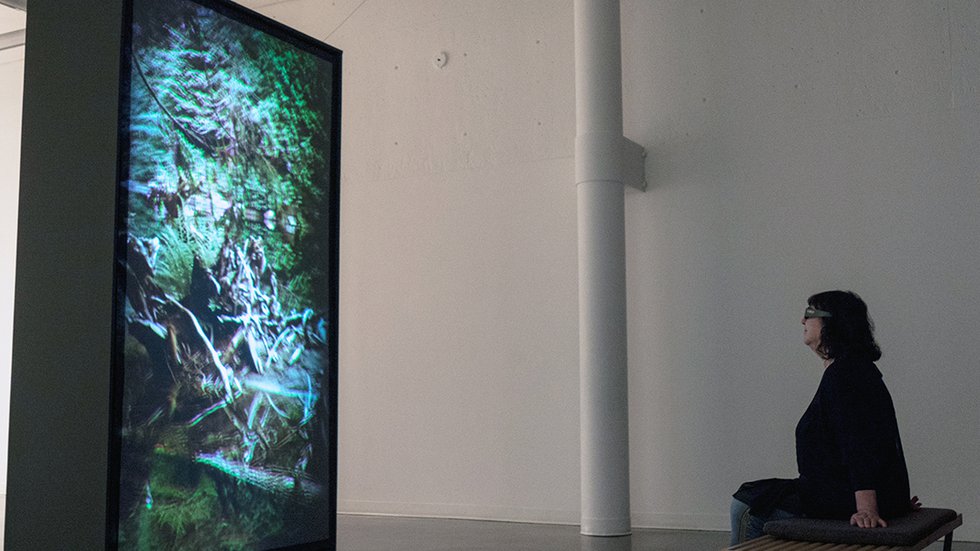 Leila Sujir, "installation image of Forest Breath," 2018