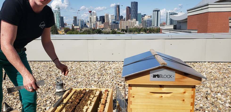 A beekeeper on the rooftop of the Atlantic Avenue Art Block, which houses Calgary's Esker Foundation. (photo courtesy of Alvéole)