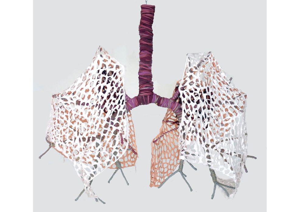 Karina Bergmans, “Lungs,” 2013