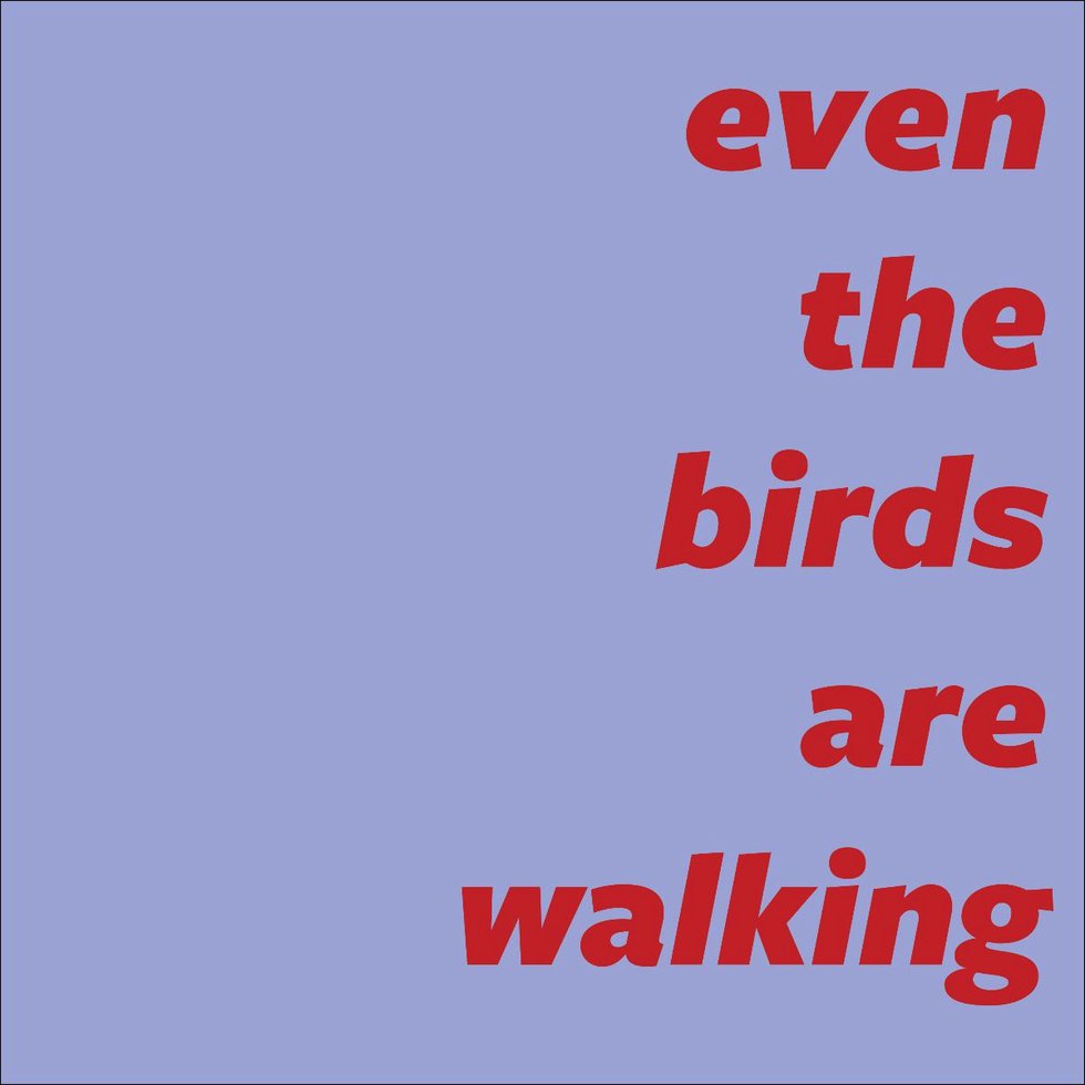 Latitude 53, "even the birds are walking," 2020