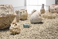 Masaomi Yasunaga, “Empty Landscape,” 2020