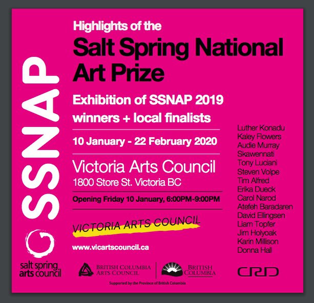 Highlights of the Salt Spring National Art Prize, 2019