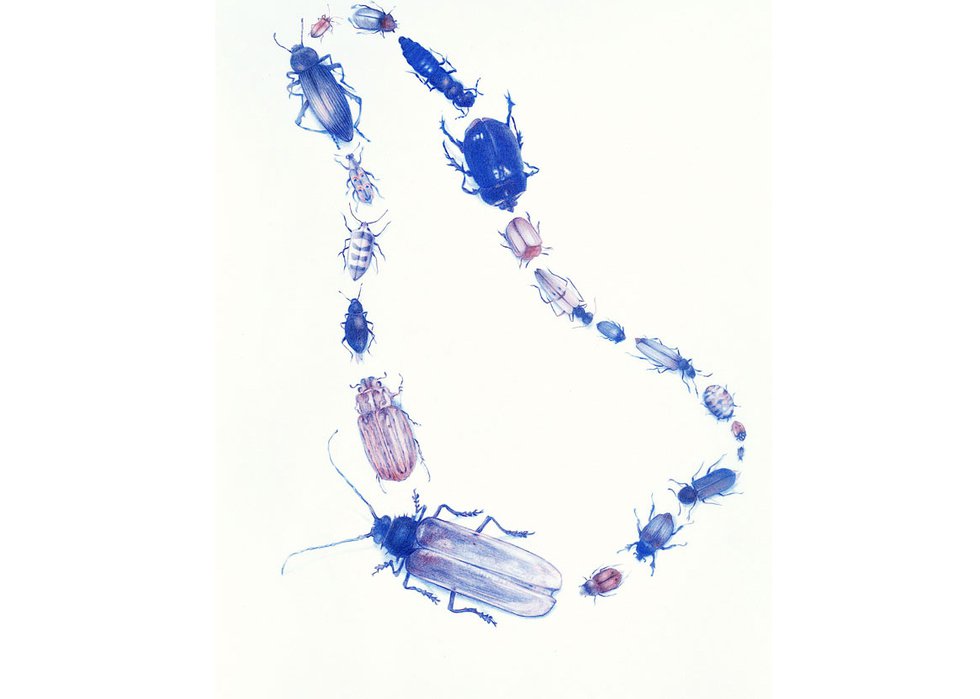 Zachari Logan,“Beetles Mimic Necklace,” 2020