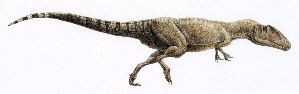 Julius Csotonyi, "Carcharodontosaurus," 2005