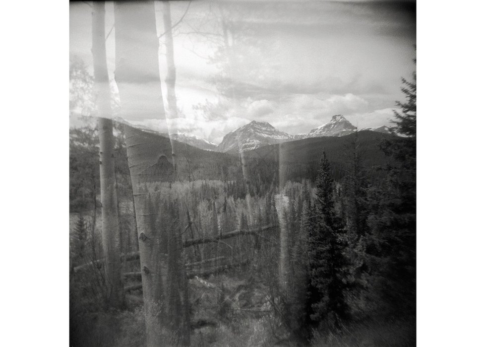 Dianne Bos, “Untitled Landscape Alberta, Trees and Rocky Mountains, Kananaskis,” 2020