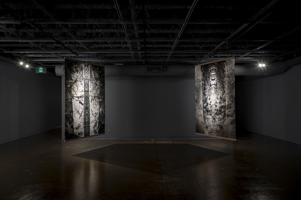Dwayne Martineau, "One Dead Tree #2" (left), 2012, and "Propagation," 2020, backlit film print, 80" x 53.5” each (photo by Dwayne Martineau)