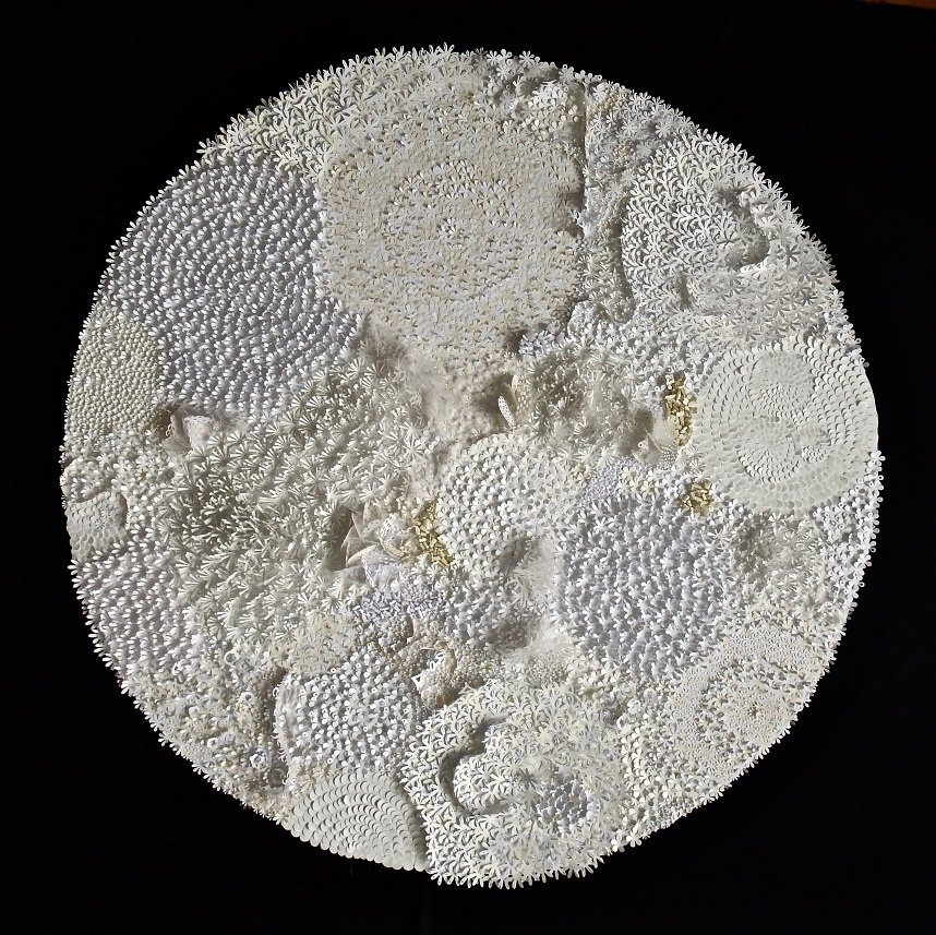 Rhonda Harder Epp, "Lichen in White - 1,” 2015