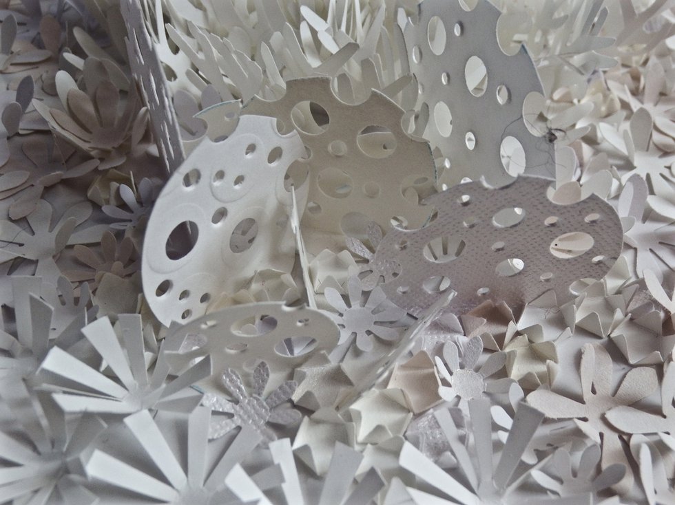 Rhonda Harder Epp, “Lichen in White – 1” (detail), 2015