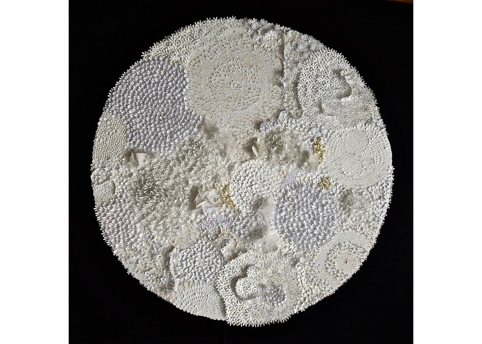 Rhonda Harder Epp, “Lichen in White – 1,” 2015