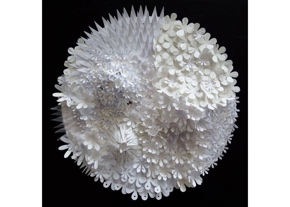 Rhonda Harder Epp, “Lichen in White – 5,” 2016