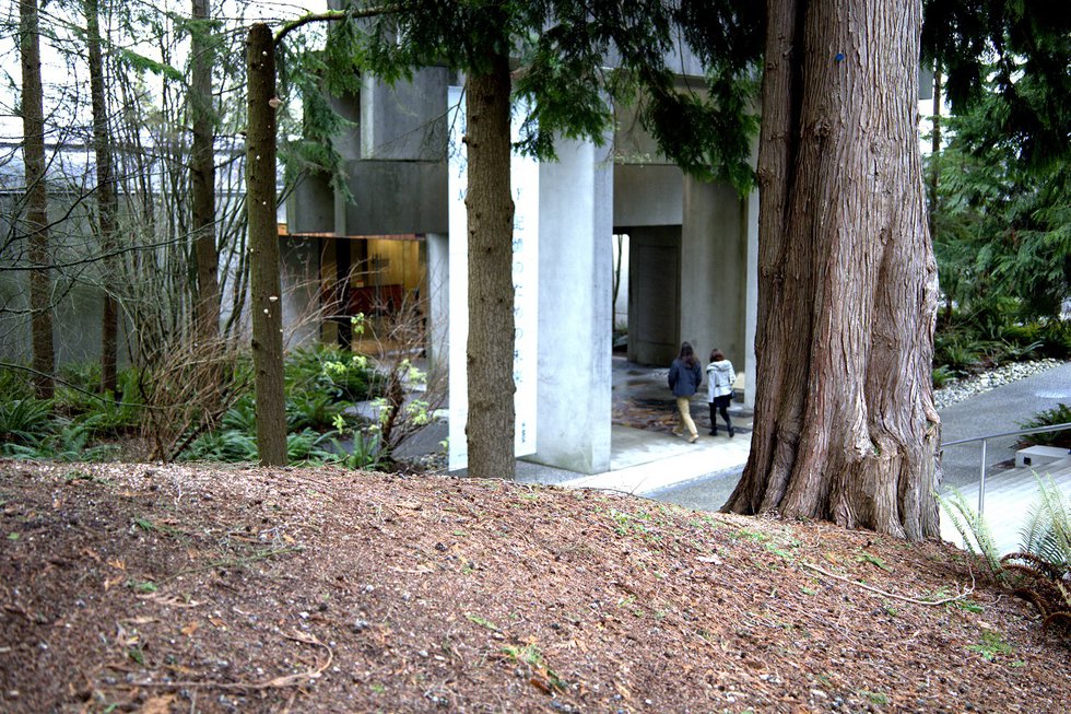 The Museum of Anthropology at the University of British Columbia in Vancouver, designed by Canadian architect Arthur Erickson, with grounds landscaped by Cornelia Hahn Oberlander, was completed in 1976. (photo by John Thomson)