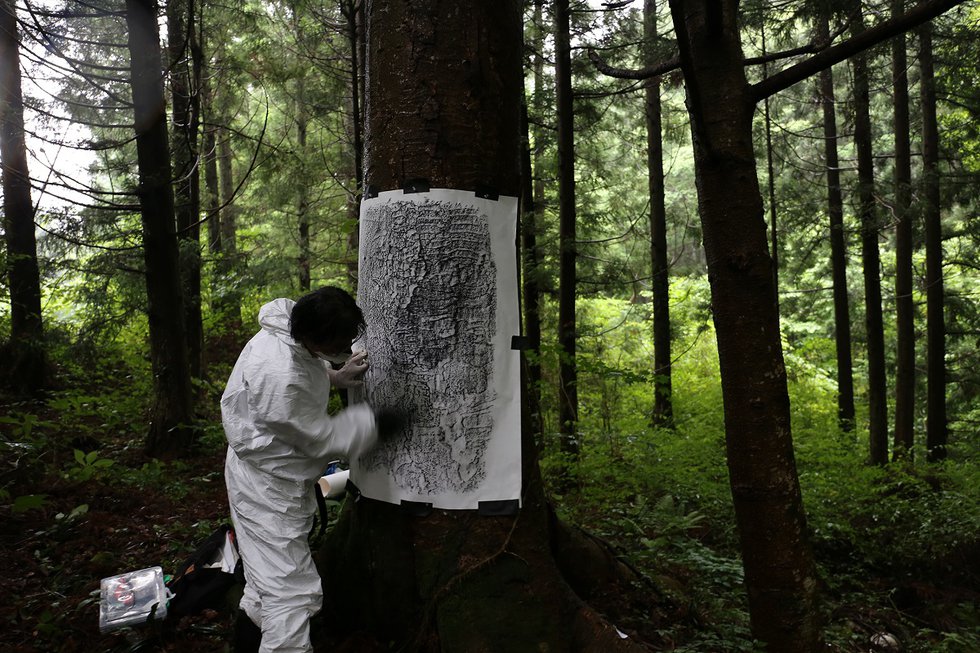 Masao Okabe makes a frottage of an irradiated tree in Ōkuma Town, Fukushima Prefecture, in 2015. (photo by Chihiro Minato)