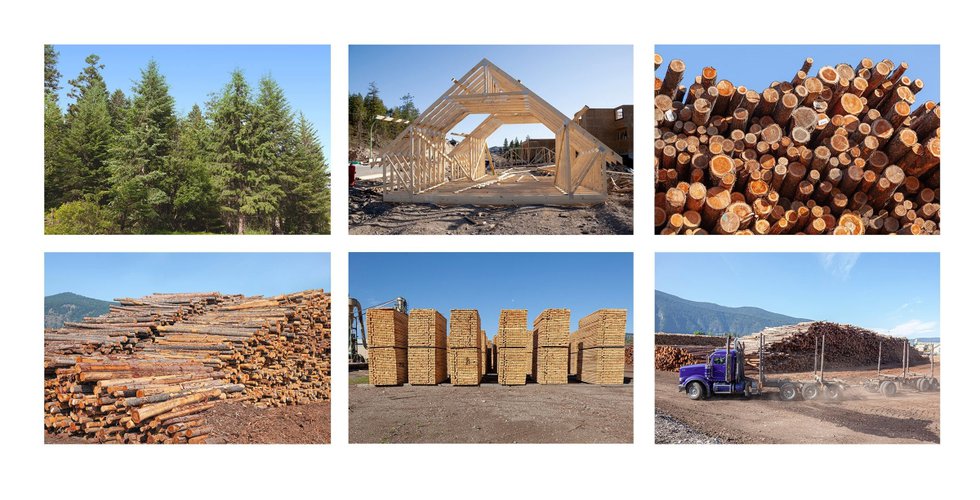 Fern Helfand, “Timber, Lumber, Wood, Home #1,” 2020