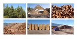 Fern Helfand, “Timber, Lumber, Wood, Home #1,” 2020