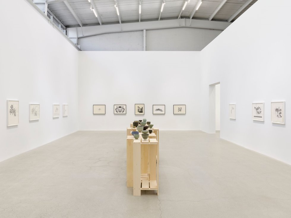 Charmian Johnson, installation view at Catriona Jeffries, Vancouver