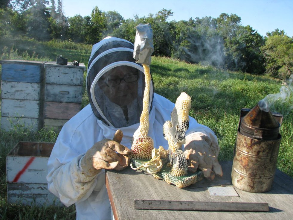 Aganetha Dyck inspects a sculpture made in collaboration with a hive of bees. (courtesy of artist)