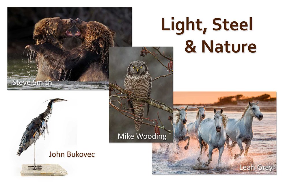 Steve Smith, Mike Wooding, Leah Gray and John Bukovec, "Light, Steel &amp; Nature," 2021