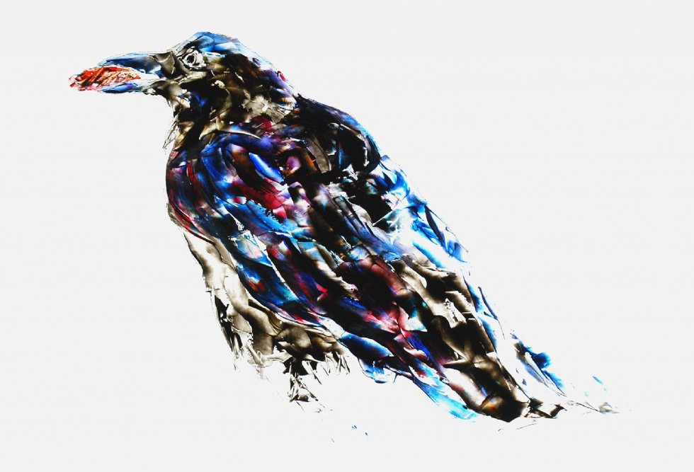 Rosemary Dzus, "Raven with Food," 2015, acrylic on mylar, 24" x 36"