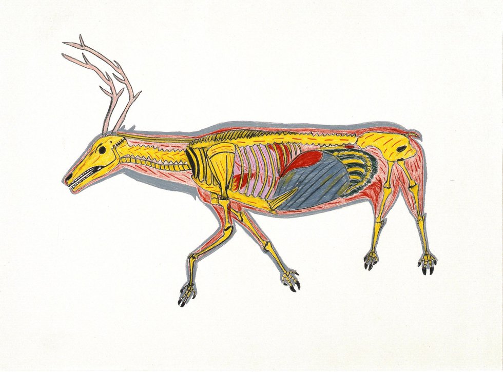 William Noah, “The Skeletoned Caribou,” 1974