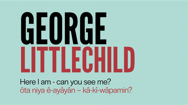 George Littlechild, "Here I am – Can you see Me?," 2021