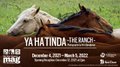 Arto Djerdjerian, "Ya Ha Tinda – The Ranch," 2021