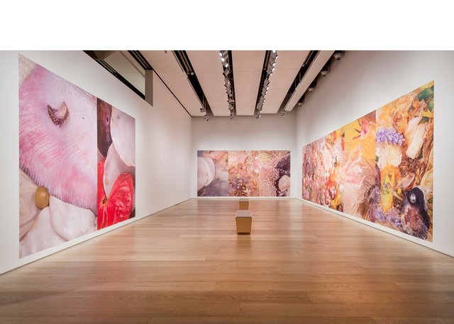 Michelle Bui, “Naked Excess,” 2022, UV print on vinyl, installation view at Esker Foundation, Calgary (courtesy of Esker Foundation)