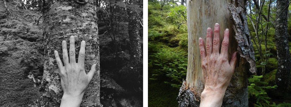 Marlene Creates, "IMAGES: excerpts from Larch, Spruce, Fir, Birch, Hand, Blast Hole Pond Road, Newfoundland," 2007–ongoing, 2007 + reprise in 2018.