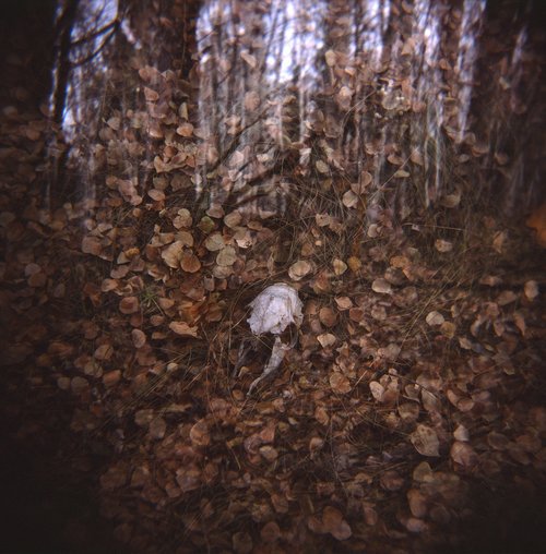 Terrance Houle, "Ghost Days," 2015