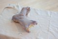 Susan Aydan Abbott, “Foot, R.O.T. Series,” 2017