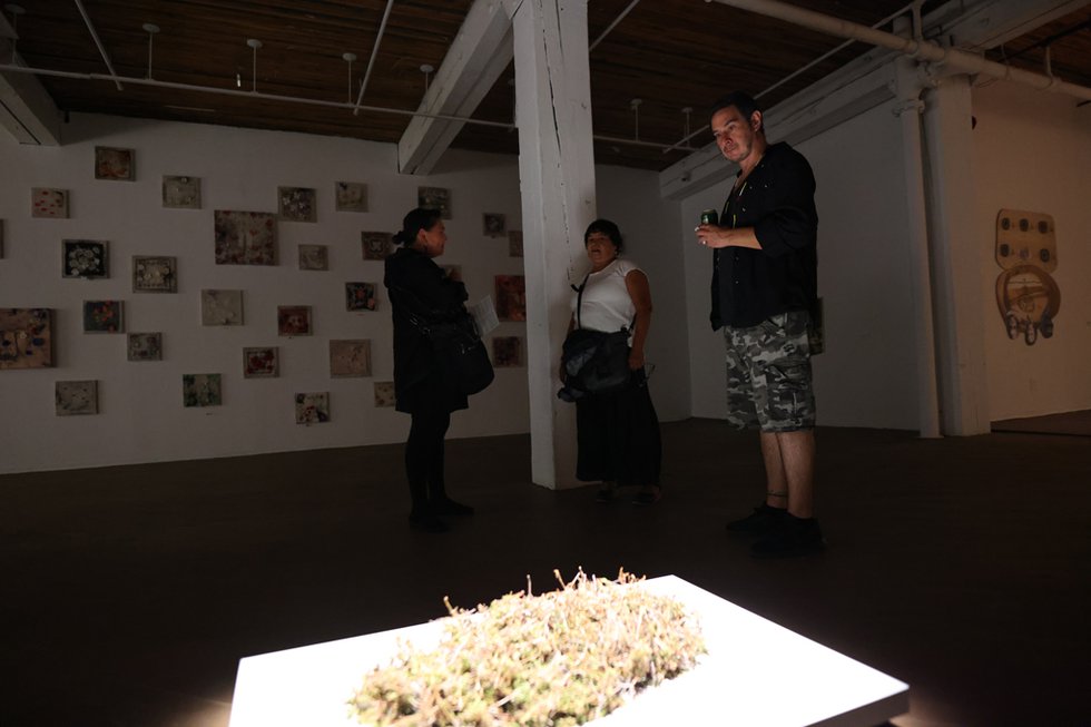 Maureen Gruben "untitled," installation view