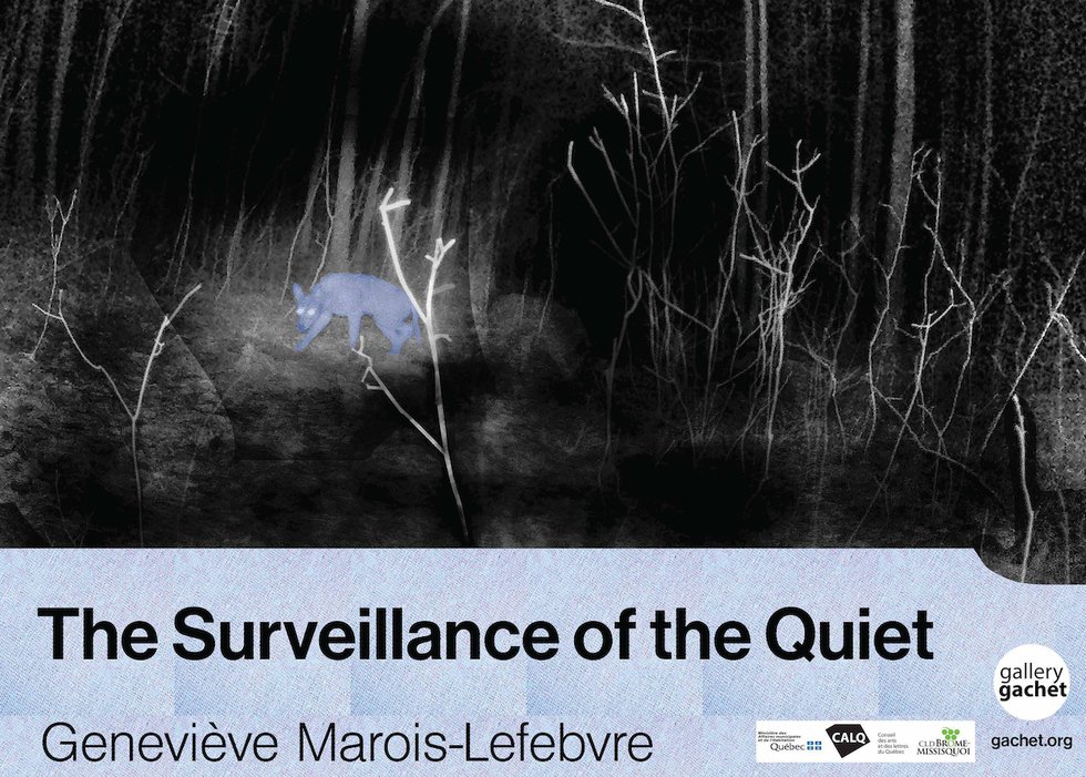 Geneviève Marois-Lefebvre, "The Surveillance of the Quiet"