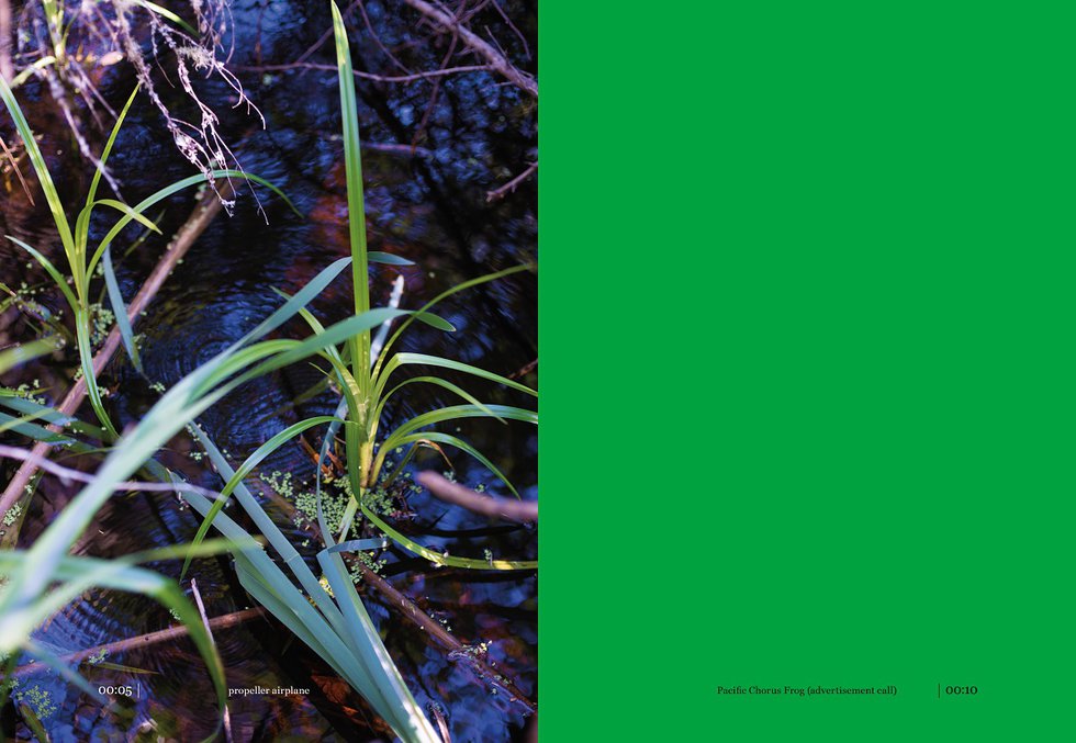 Sample pages from “Wetland Project: Sound, Ecology and Post-Geographical Art.”