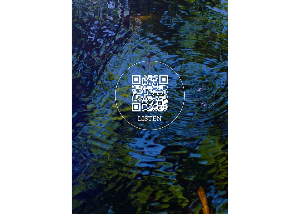 The cover of "Wetland Project" features a scannable QR code that can connect you with sounds of nature as you read this article.