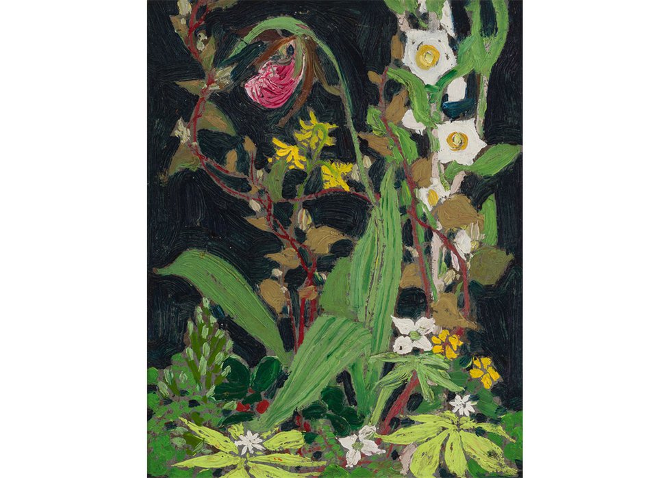 Thomas John (Tom) Thomson, “Moccasin Flower or Orchids, Algonquin Park,” 1916
