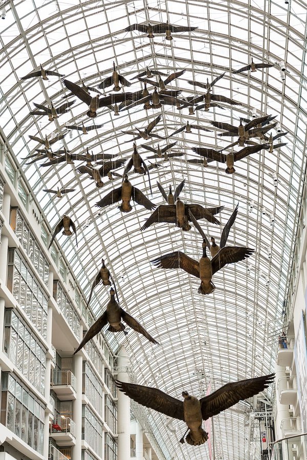 Michael Snow, “Flight Stop,” 1979, 60 suspended fibreglass Canada goose forms surfaced with tinted black and white photographs, installation view at Eaton Centre, Toronto (photo by Giorgio Galeotti, courtesy Wikimedia Commons)