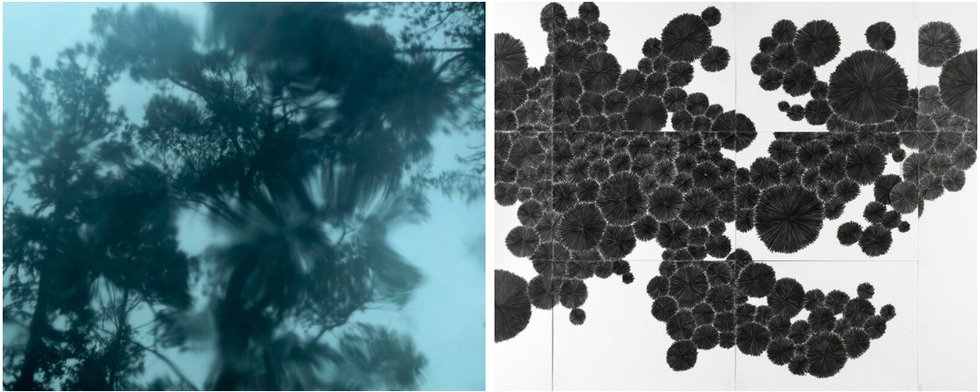 Left: Ed Pien, "RainForest 2," 2016; Right: Karin van Dam, "Organism," 2023