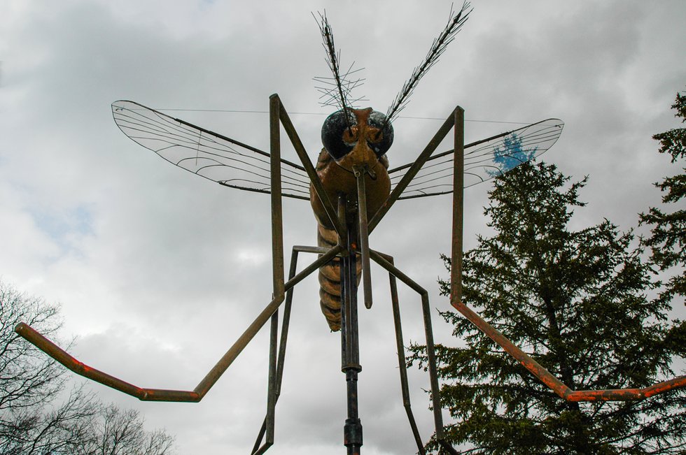 Visitors to Komarno are invited to give Marlene Magnusson Hourd’s 15-foot-high steel mosquito a swat. (photo by Agnieszka Matejko)
